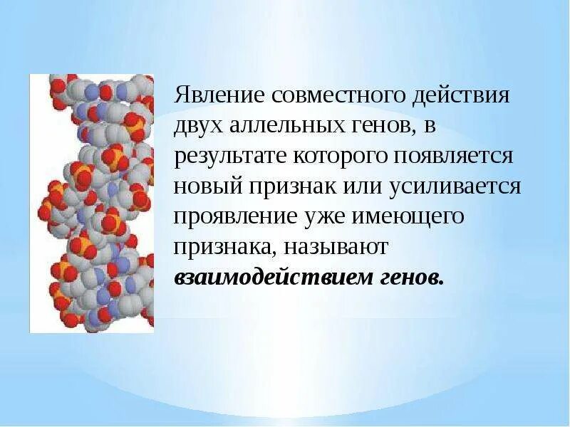 Взаимодействие аллельных генов. Кодоминирование взаимодействие генов презентация. Кодомирование генетика. Взаимодействие аллельных генов РОСУЧЕБНИК плакат. Организм содержащий одинаковые аллельные гены