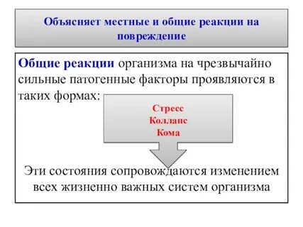 Общие реакции организма это