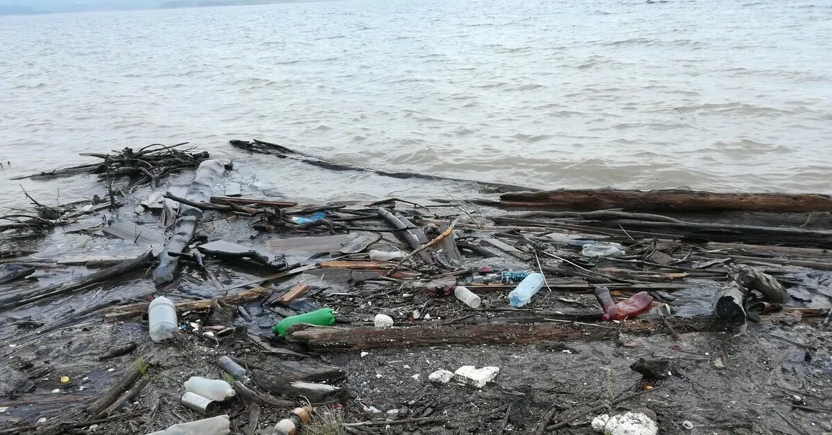 Загрязнение водохранилища. Затопление Братского водохранилища. Братское водохранилище загрязнение. Братское водохранилище затопленный лес.