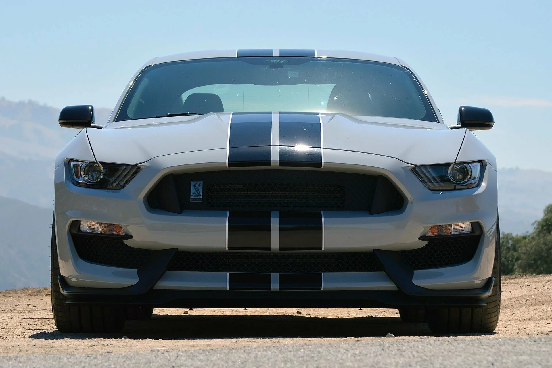 Виды мустангов. Ford mustang 2013. Виды мустангов. Виды мустангов. Виды мустангов.