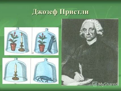 Опыт пристли фотосинтез