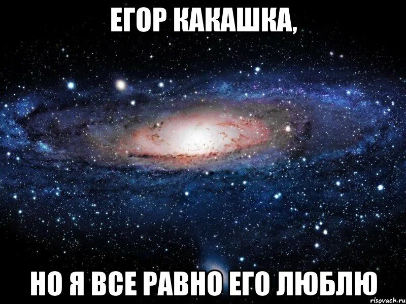 Любимый какашка. Я люблю тебя какашка.