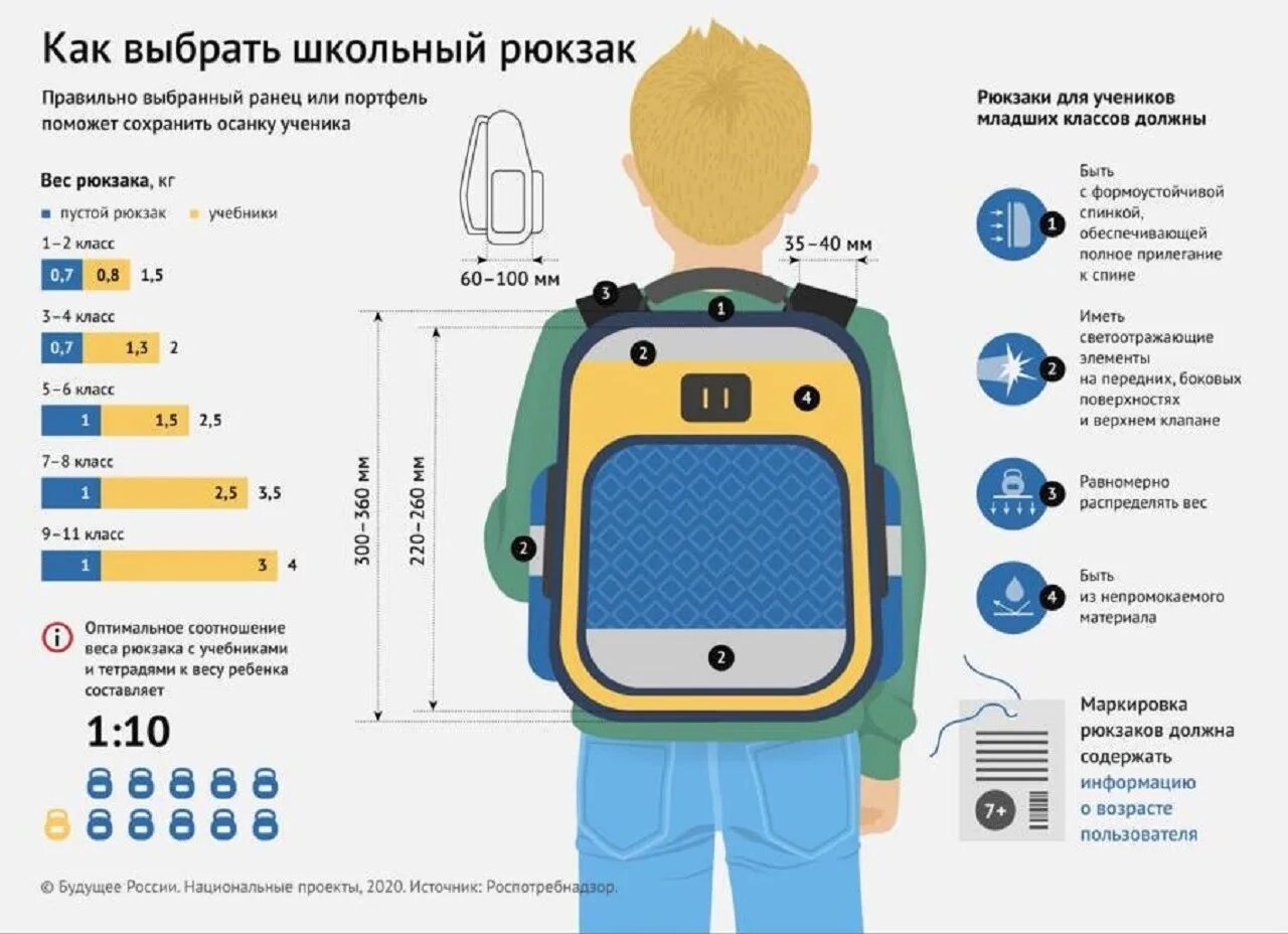 Правильный рюкзак для школьника. Размер школьного рюкзака. Инфографика рюкзак. Размеры рюкзаков для детей.