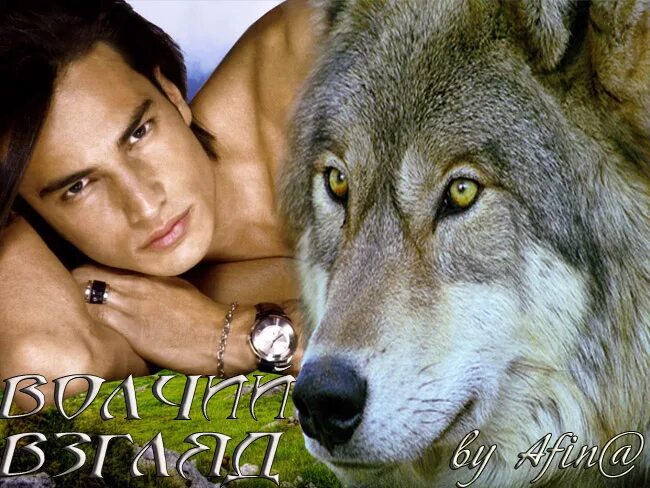 Лис и волк. Коллин богл. Поведение диких животных книга. Читать любовь диких животных. Волчья свадьба читать.