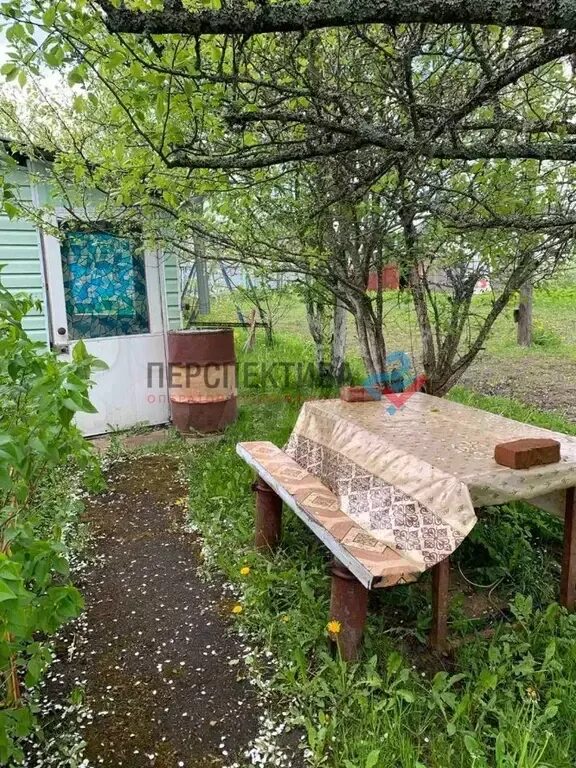 Деревня чипляево калужская область. Деревня чипляево калужская область. Деревня чипляево калужская область. Чипляевская школа спас деменский. Чипляевская школа спас деменский.