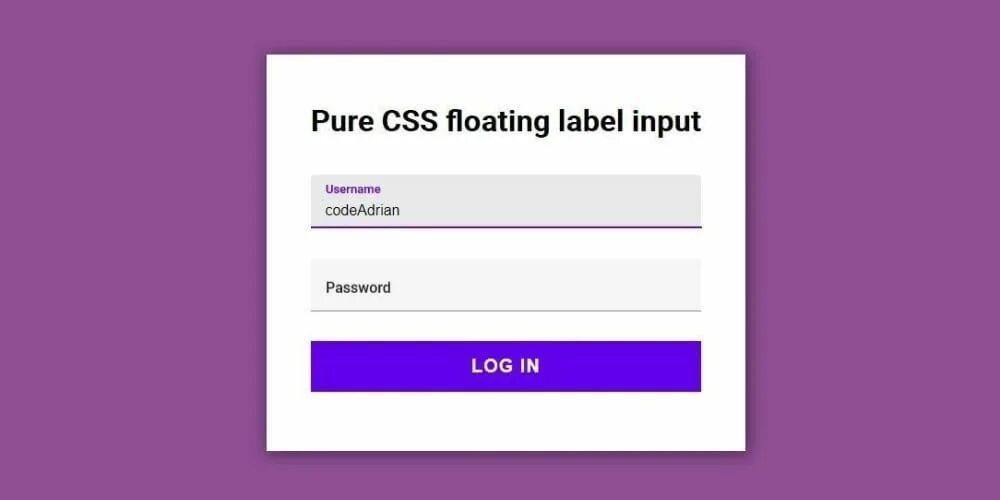 Input html значение. Input внутри Label. Красивый input. Input html CSS. Label внутри input html.