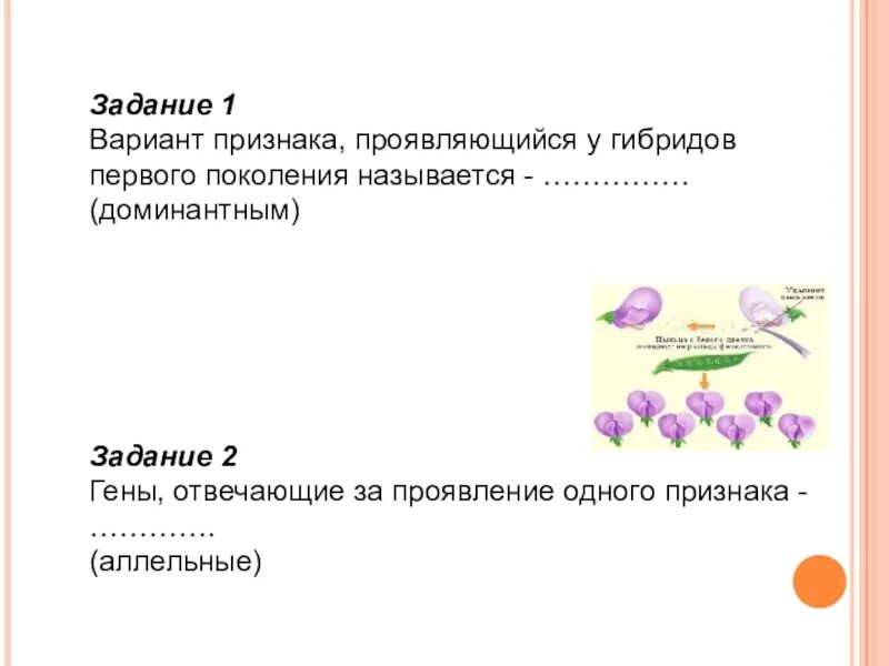 Признаки проявляющиеся у гибридов первого поколения называются