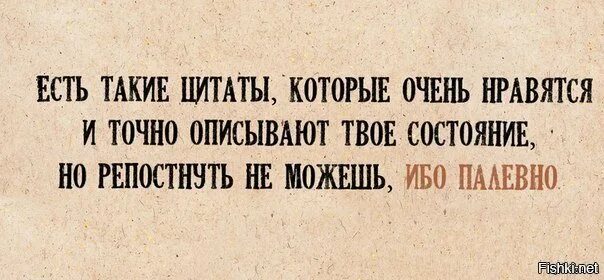 Палевно. Слишком палевно. Палевно это что значит. 5 правда в том что я