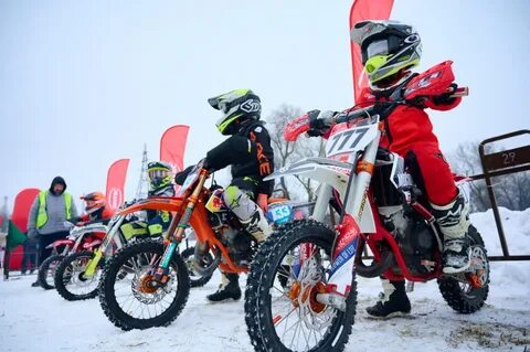 Цирк обнинск 2024