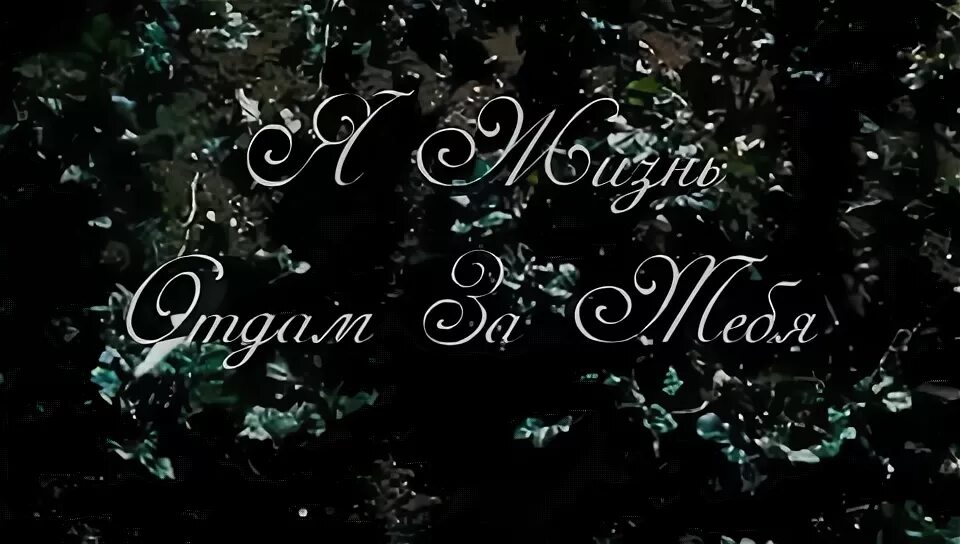 Жизнь отдам отзывы. За тебя жизнь отдам. Я жизнь отдам за тебя картинки. Илкин жизнь отдам за тебя. Певец жизнь отдам за тебя.