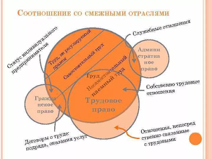 Отграничение от смежных отраслей