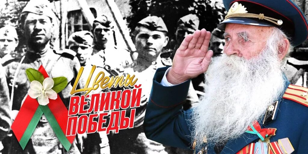 Девочка дарит цветы ветерану. Ленточка на 9 мая в беларуси. Цветы победы. И снова май цветы салют и слезы. Песня цветы победы дарит.