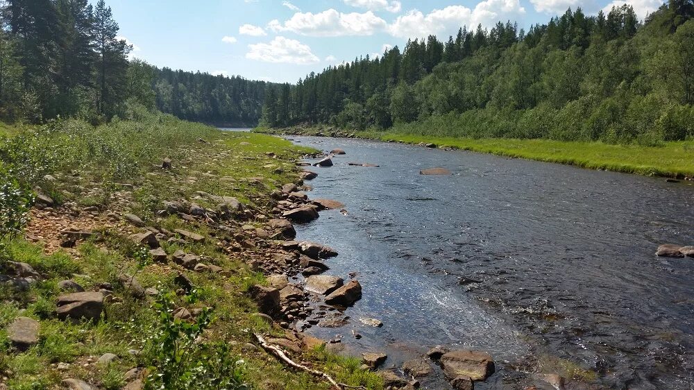 Река поной мурманской области. Река паной. Кольский полуостров деревня Поной. Устье реки Поной.