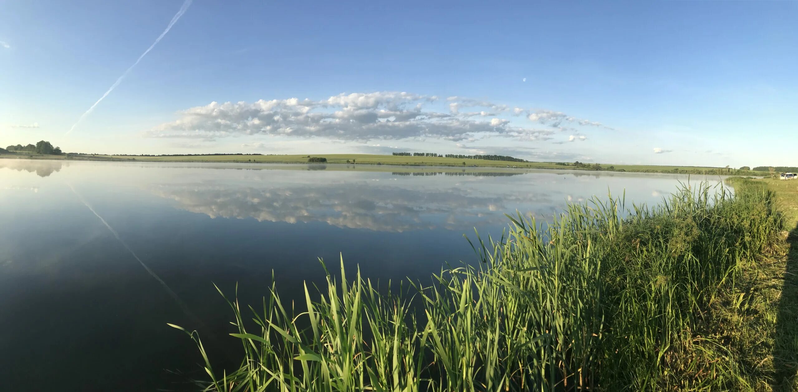 Водоемы в степи. Мастиновский пруд Пенза. Калининский пруд Пензенская область. Каменский район Пензенская область пруды. Пруд Любчино Каменский район.