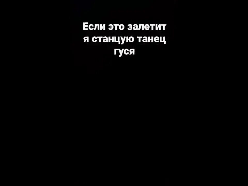 Слушать я гусь мама. Смешной гусь. Куплинов гусь анимация. Альбом гусь. Слушать я гусь мама.