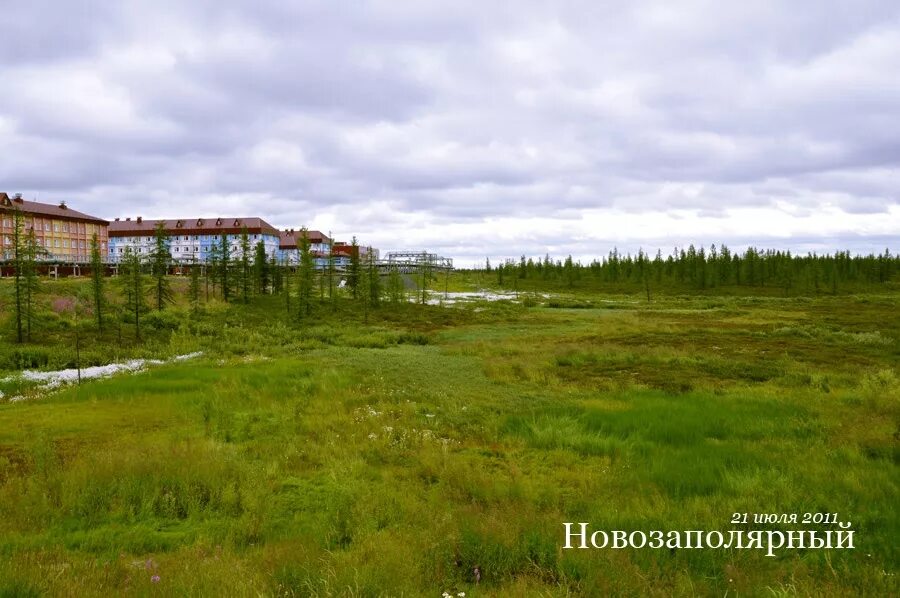 янао поселок новозаполярный. поселок новозаполярный ямало-ненецкий автономный округ. новозаполярныц посёлок новозаполярный. янао поселок новозаполярный. погода новозаполярный тазовский.