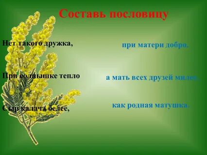 Три ветки мимозы
