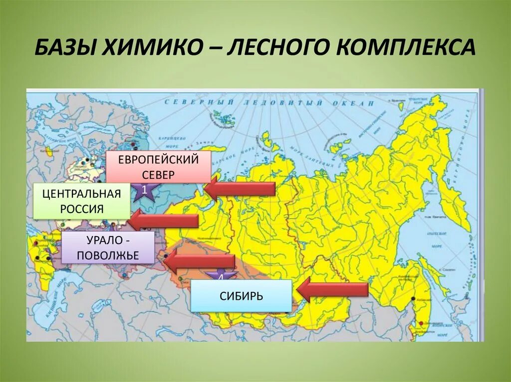 Поволжская база. Северо-европейская база химико-лесного комплекса. Карта лесопромышленного комплекса география 9 класс. Центры химико лесного комплекса. Химка Лесные комплексы России.