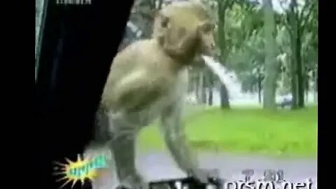 Болтающиеся видео