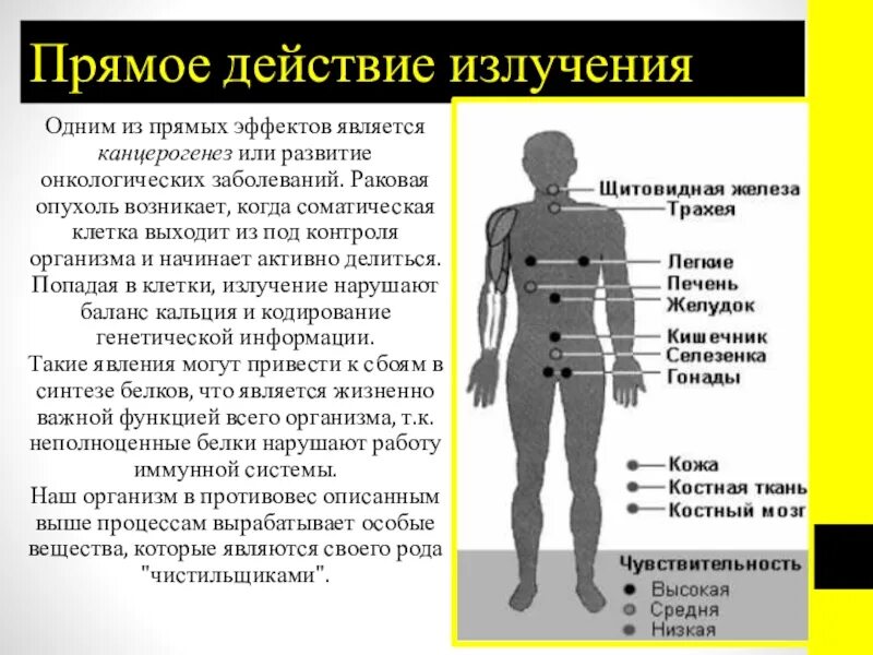 Действие радиоактивного излучения на человека. Воздействие радиационного излучения на живые организмы. Влияние радиации на живые организмы. Влияние радиоактивных излучений на живые организмы. Влияние ионизирующих излучений на живые организмы.