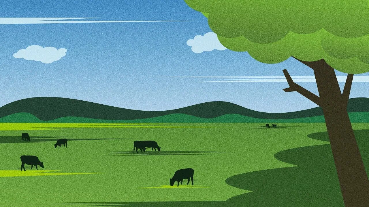Flat fields