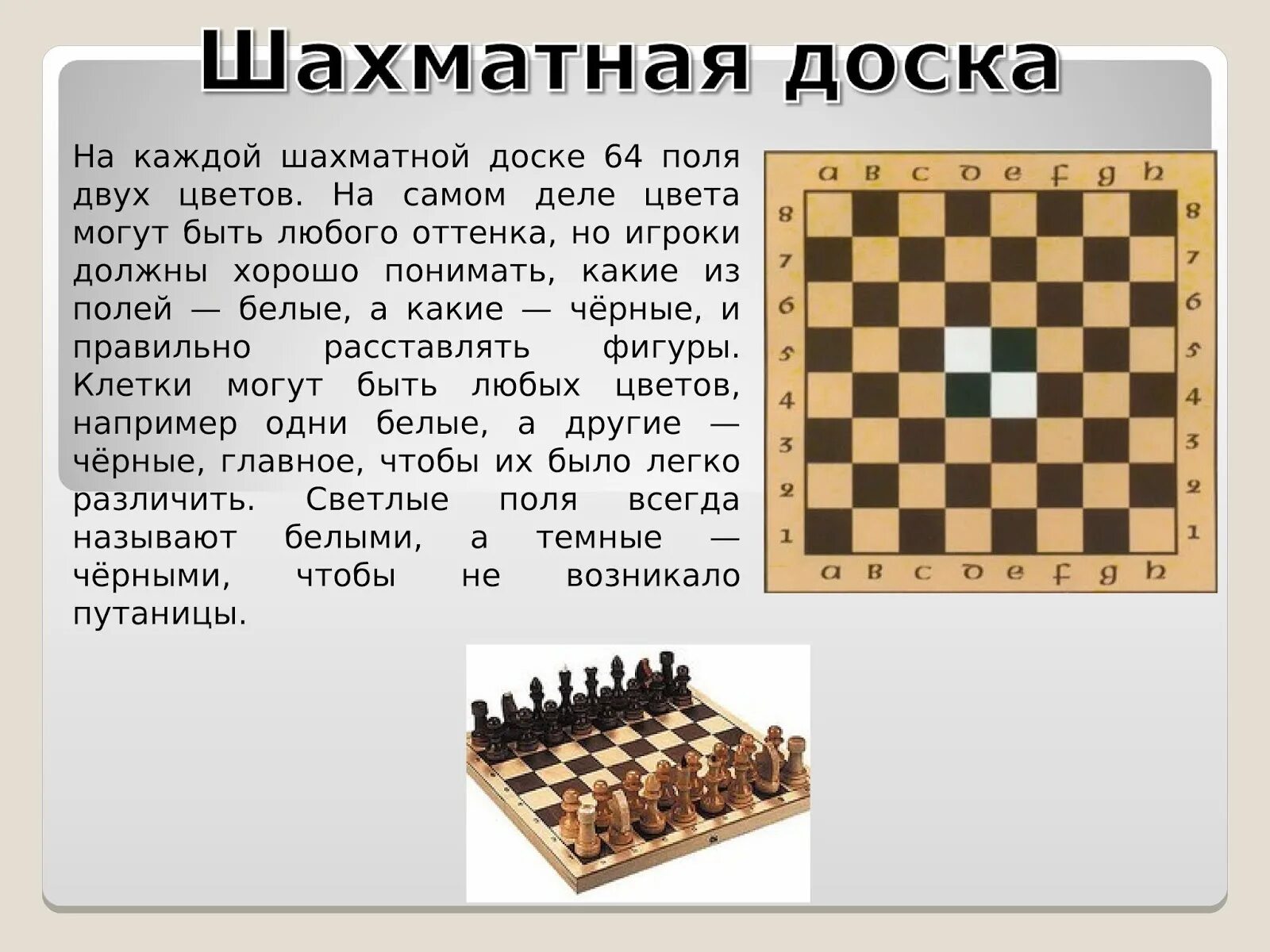 Шахматы информация