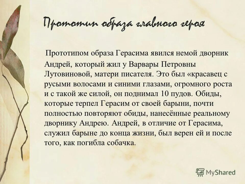 образ герасима в муму. отгадка. загадка фигуры немого герасима ответ. вопросы к рассказу муму 5 класс с ответами. план сочинения герасим главный герой рассказа муму.