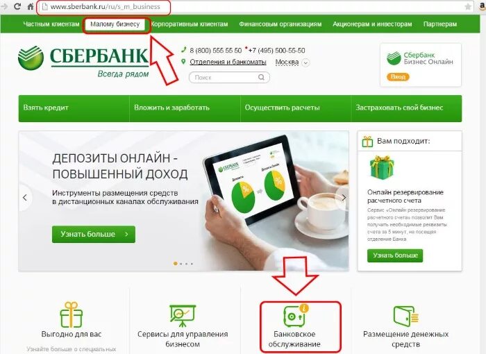 Номер сбера для юридических лиц. Терминал эквайринга сбербанк. Пао сбербанк. Поддержка юридических лиц сбербанк. Номер наименование отделения банка сбербанка.