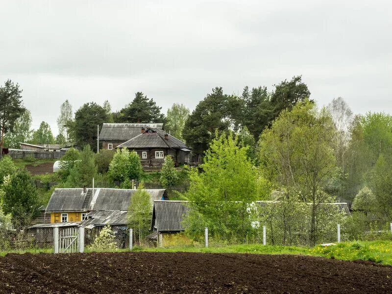 село нюксеница вологодская. нюксеница от вологды.