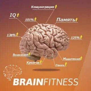 Фитнес для мозгов