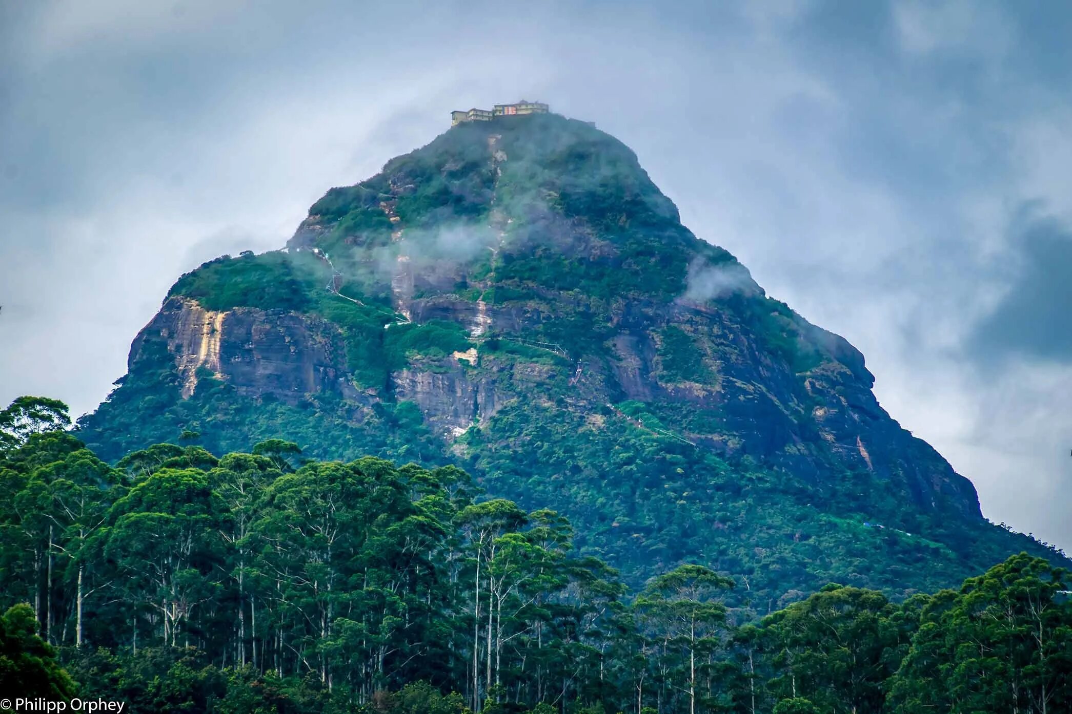 Шри ланка лес. Пик Адама Шри-Ланка. Шри Ланка гора пик Адама. Малый пик Адама Шри Ланка. Пик горы Сигирия Шри Ланка.