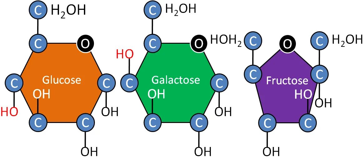Галактоза. Галактоза строение. Галактоза структура. Глюкоза фруктоза галактоза.