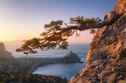 Природа крыма картинки