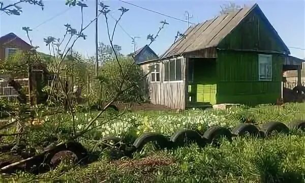 Базилевка уфа. Коллективный сад. Коллективный сад башкортостан. Кадастровый номер 02:55:010616:87. Сады в федоровка уфа.
