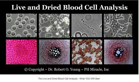 Living blood