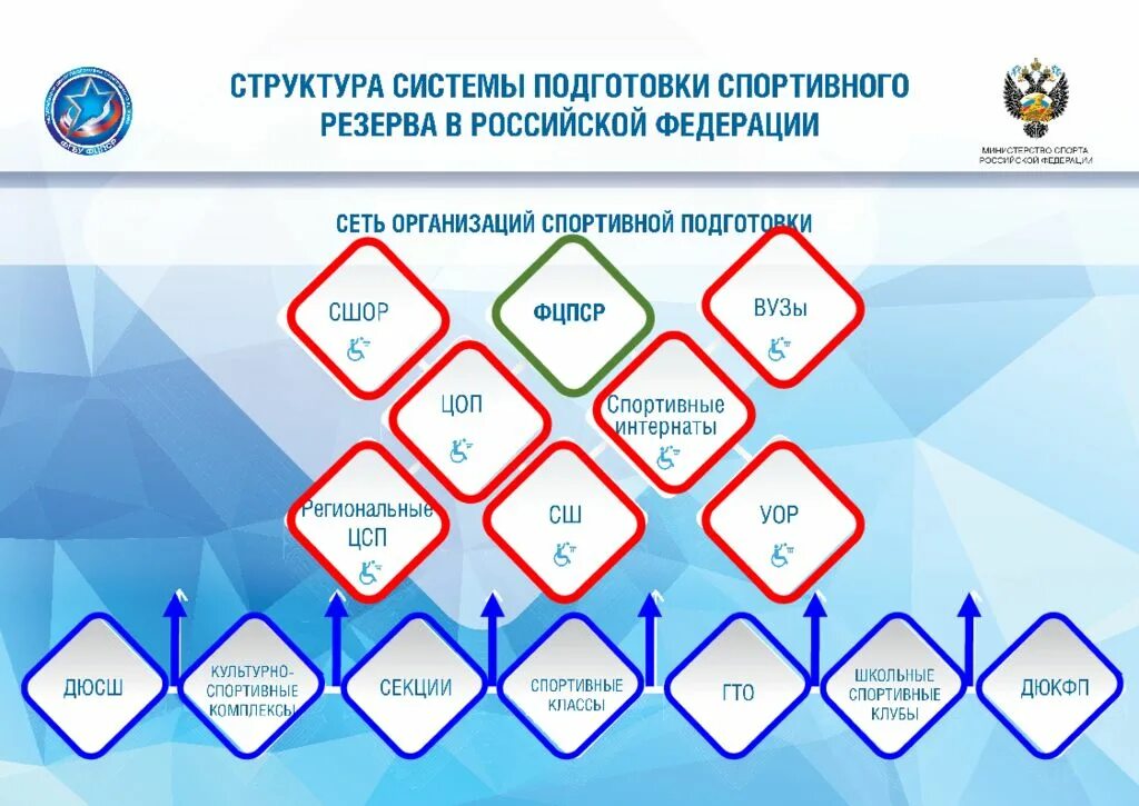 Структура спортивной подготовки. Управление системой подготовки спортивного резерва. Структура системы подготовки спортсменов. Структура системы подготовки спортивного резерва РФ. Структура подготовки спортсмена