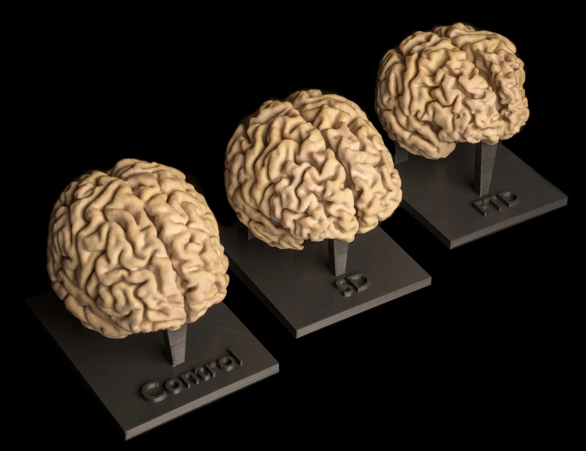 7 3 brain. Моделирование человеческого мозга. Мозг 3д Графика.
