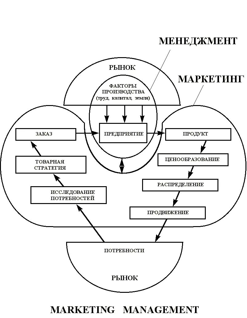 Функция менеджмента маркетинг. Взаимосвязь маркетинга и менеджмента. Основы менеджмента и маркетинга. Схема взаимосвязь менеджмента и маркетинга. Маркетинг менеджмент направления деятельности.