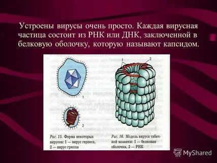 Можно вирусы на улице