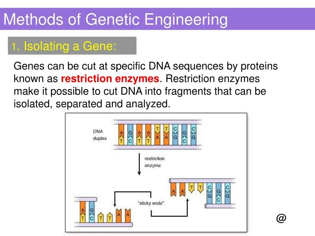 Methods engineer. Methods of genetic Engineering. Gene Engineering. What is genetic Engineering. Genetic Engineering techniques.