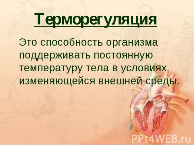 Роль кожи в терморегуляции организма. Роль кожи в терморегуляции 8 класс презентация. Роль кожи в терморегуляции 8 класс. … - Способность организма поддерживать постоянную температуру тела. Роль кожи в процессах терморегуляции