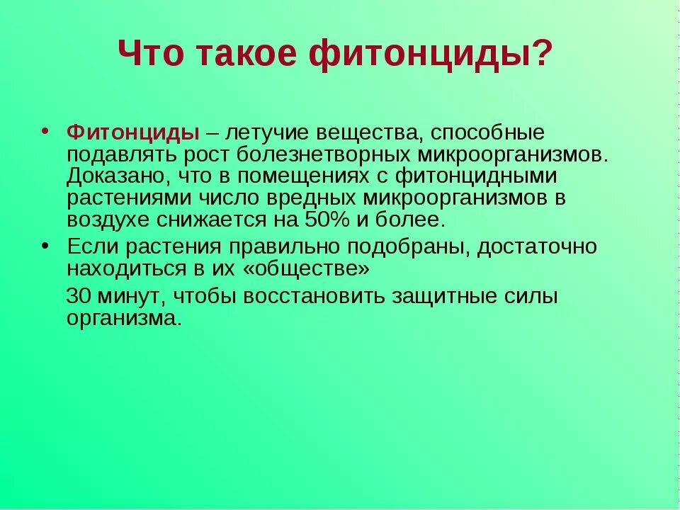 Фитонциды хвойных. Фитонциды это. Что такое фитонциды определение. Фитонциды это кратко. Виды фитонцидов.