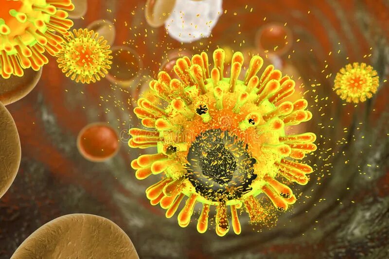 Кровь на иммунодефицит. Вирус иммунодефицита человека (Human Immunodeficiency virus). Инфицирование клеток вирусом СПИД.