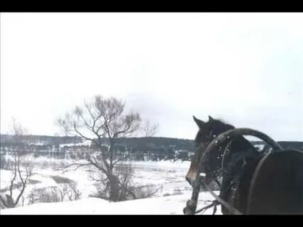 Сучья королева