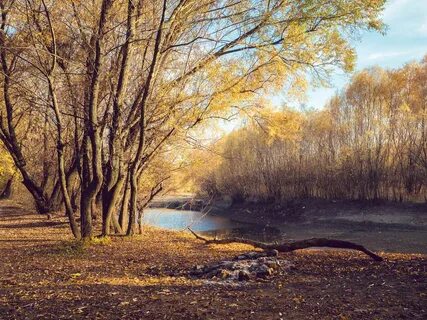 Осень кубань