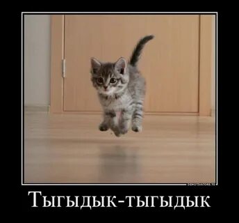 Тыгыдык