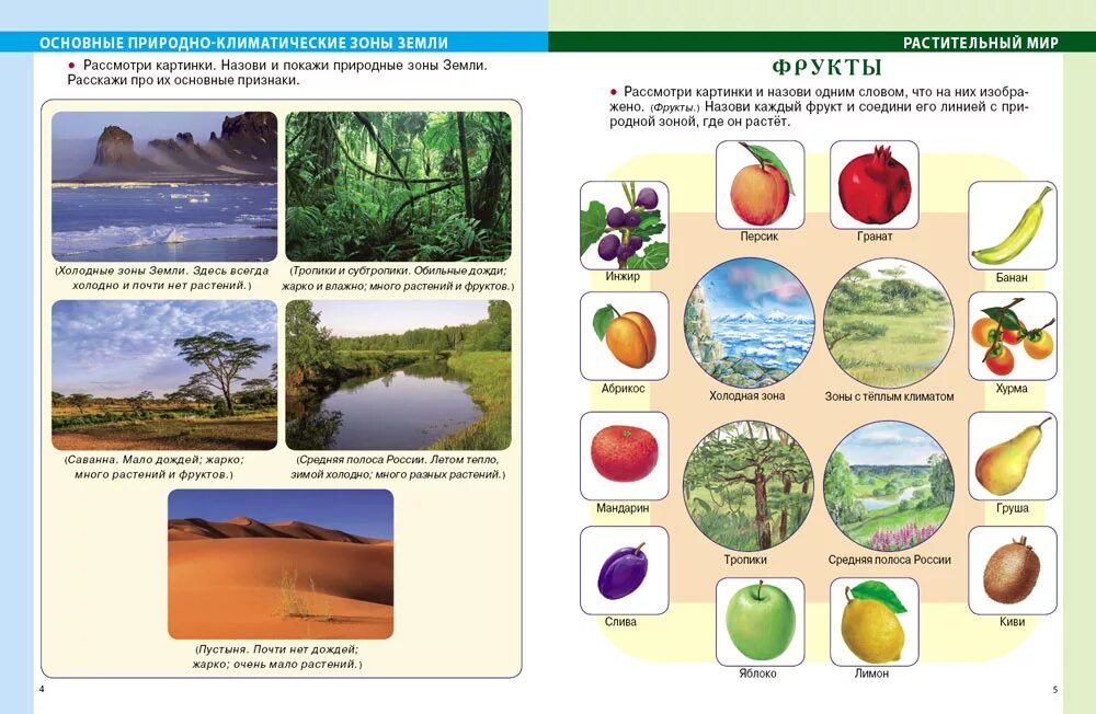 Природно климатические зоны России для дошкольников. Окружающий мир. Задание по природному миру. Растительный мир для дошкольников. Растительность природных зон земли биология