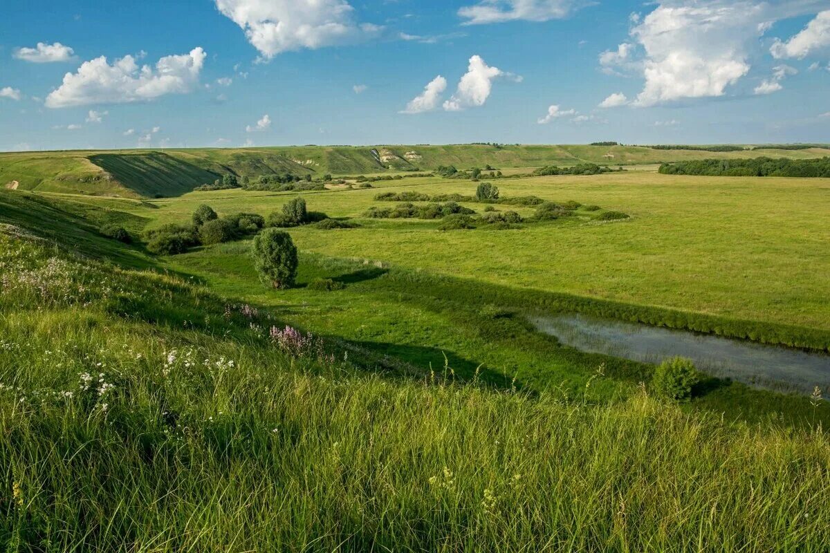 Низина земли. Природа , Республика Татарстан (Татарстан). Холмы Татарстана. Природа высокогорий раон Татарстан. Степи Татарстана.