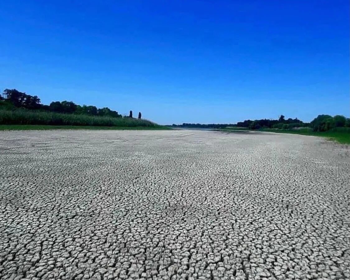 Край сухой. Край сухой. Стейк рибай мраморная говядина. Край сухой. Сухой док сск звезда.