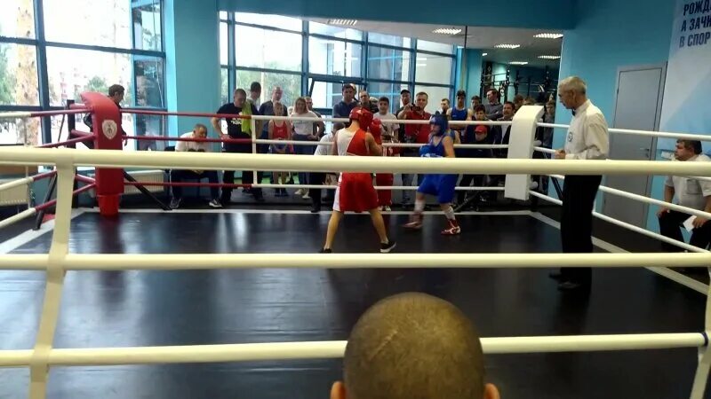 спортивные занятия. спортивные кружки и секции для детей. секция бокса для детей. школа 33 балашиха янтарный спортивные секции. варяг тайский бокс москва.